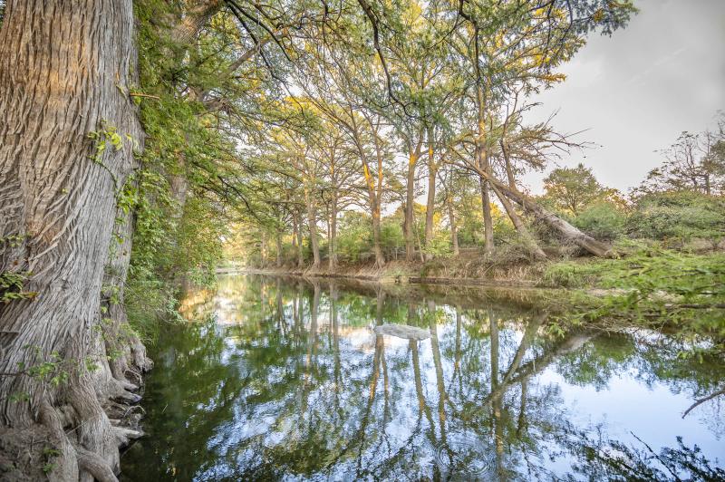 Blue Jay Yurt — cypress-lined bend of the Medina River reflecting the trees a short walk from the yurt.