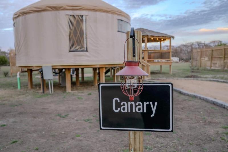 Canary Yurt — entrance sign in front of the elevated canvas yurt at dusk.