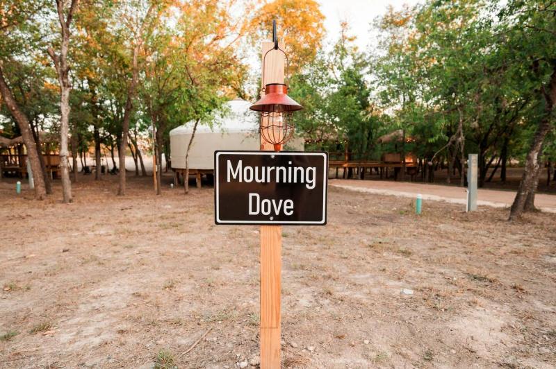 Mourning Dove Yurt — entrance sign with the canvas yurt among the trees.