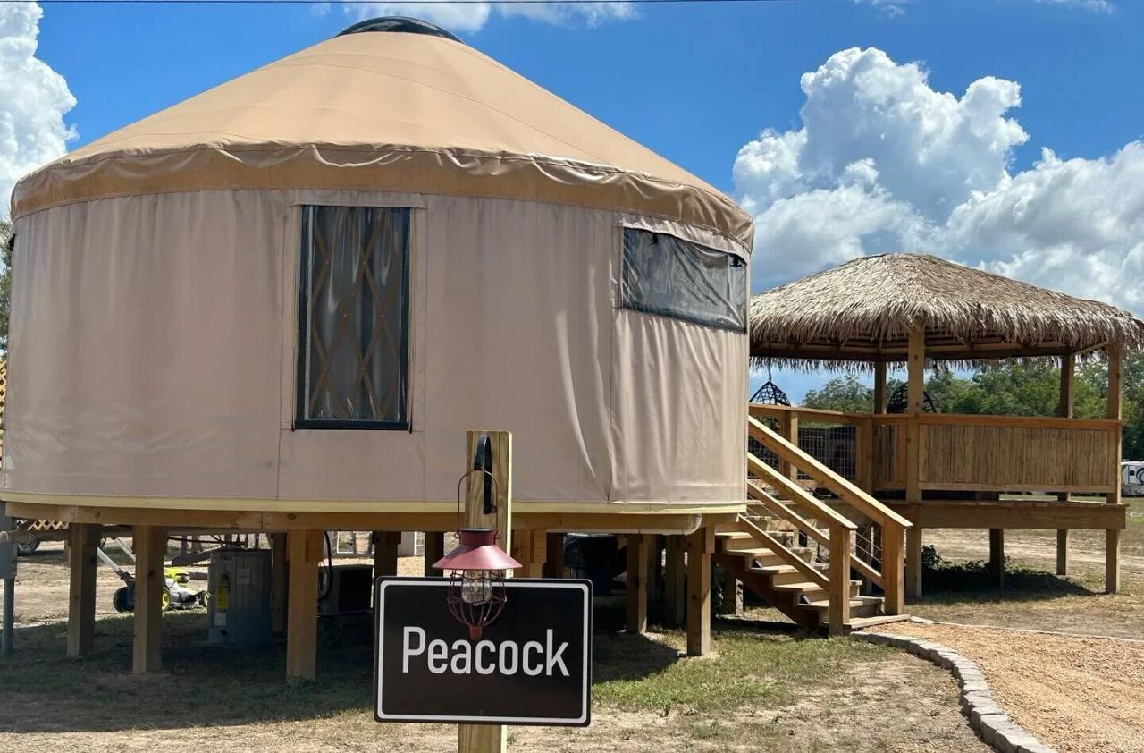 Peacock Yurt — elevated canvas yurt and connected gazebo beneath a bright blue sky.