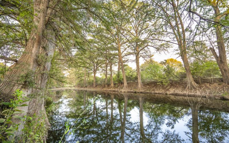 River Yurt Village RV Park — wide bend of the Medina River fringed with bald cypress along the property's frontage.