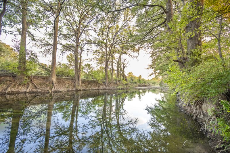 River Yurt Village RV Park — still green stretch of the Medina River mirroring the cypress trees at golden hour.