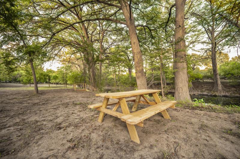 River Yurt Village RV Park — picnic table sitting on the riverbank beneath giant pecan trunks.